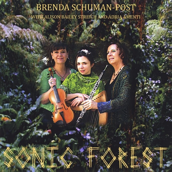 Sonic forest album